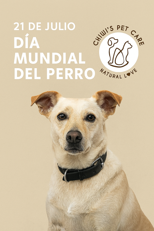 🐶 21 de julio: Día Mundial del Perro – Un homenaje a nuestros compañeros de vida