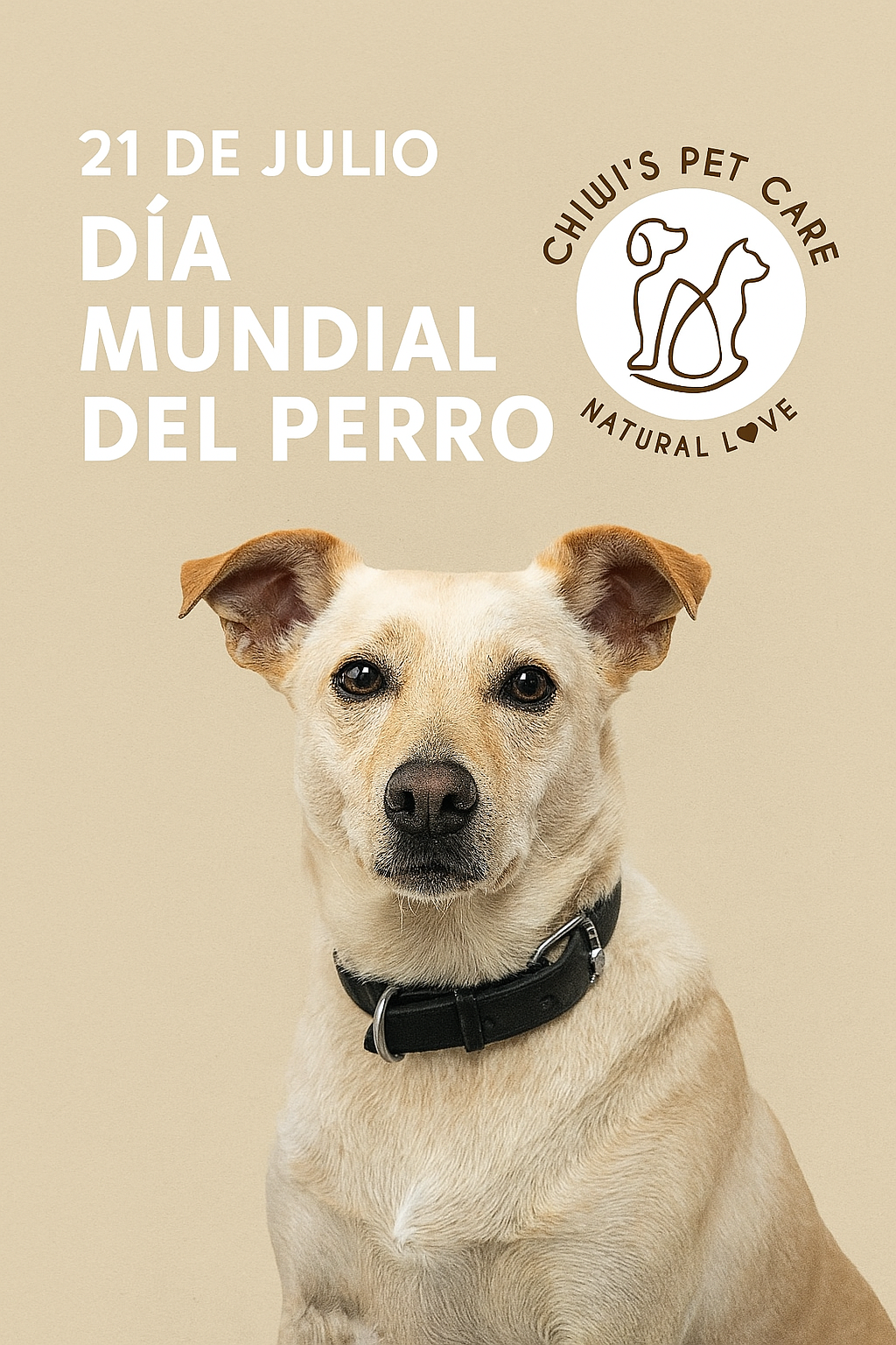 🐶 21 de julio: Día Mundial del Perro – Un homenaje a nuestros compañeros de vida