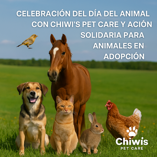 Día del Animal: Una fecha para celebrar el amor y el respeto hacia ellos