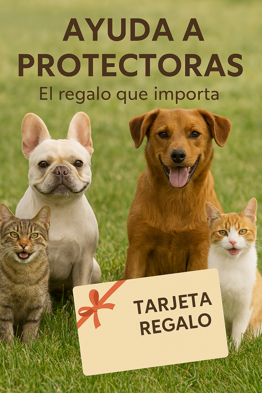 Voluntaria acariciando un perro en protectora de animales en España
