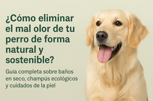 baño en seco sin agua mascota