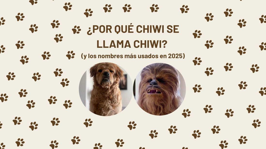 Los nombres de perros más populares en España 2024-2025 (y lo que dicen de nosotros)